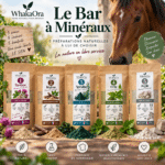Coffret Bar à Minéraux