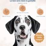 Don – Soutenir le lancement d’Aristocroc