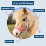 Licol en BIOTHANE