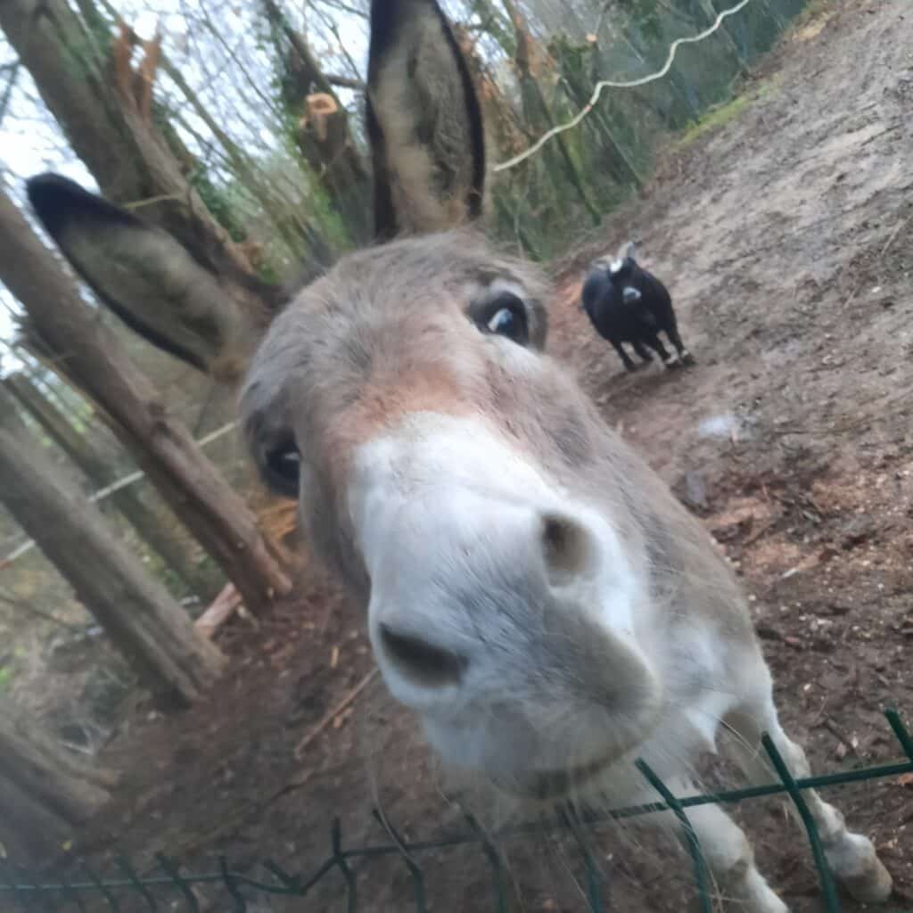 Image #1 de Sandrine Carsana