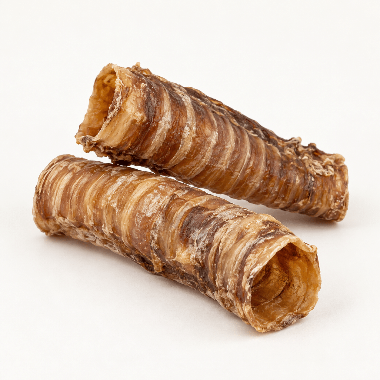 Trachée de bœuf