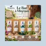 Coffret Bar à Minéraux